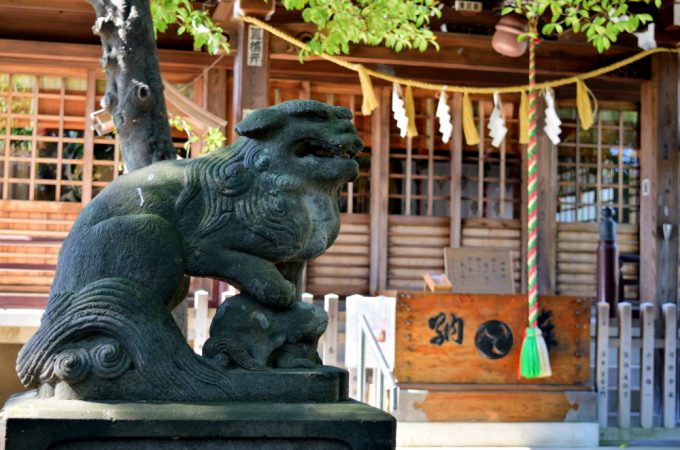 日本の神社はパワーがある。古代の祭祀の秘密を解き明かす